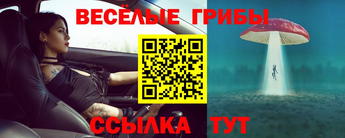 Галлюциногенные грибы ЛСД  закладка  Белгород  Вход с VPN 