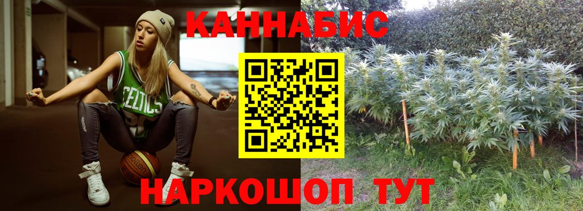 Бошки марихуана VHQ  Вход с VPN  Бошки марихуана Bruce Banner  Белгород 